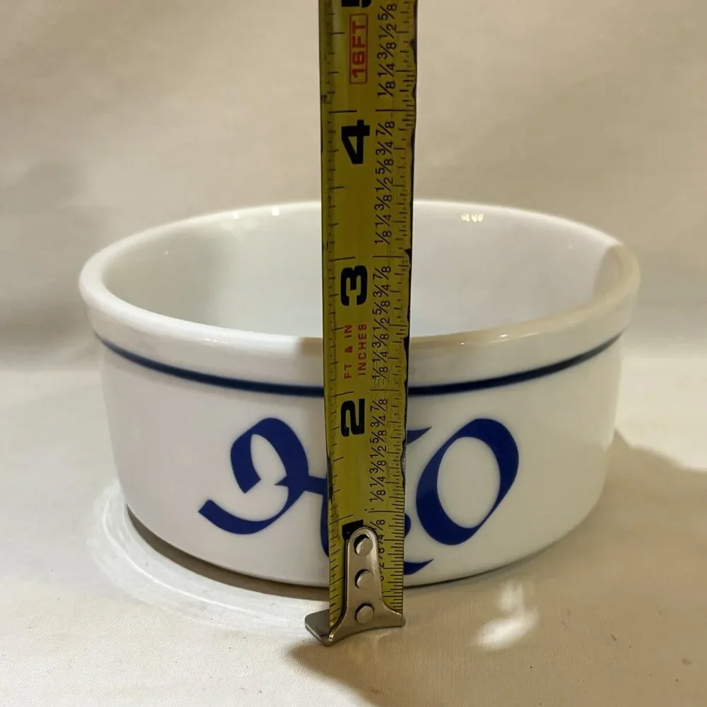 Ceramic Pottery Stoneware Pet Water Bowl H2O Blue White